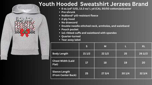 🐾🎄Holly Jolly Panthers Hoodie🎅🐾